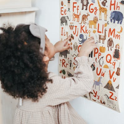 pexels-photo-3662801