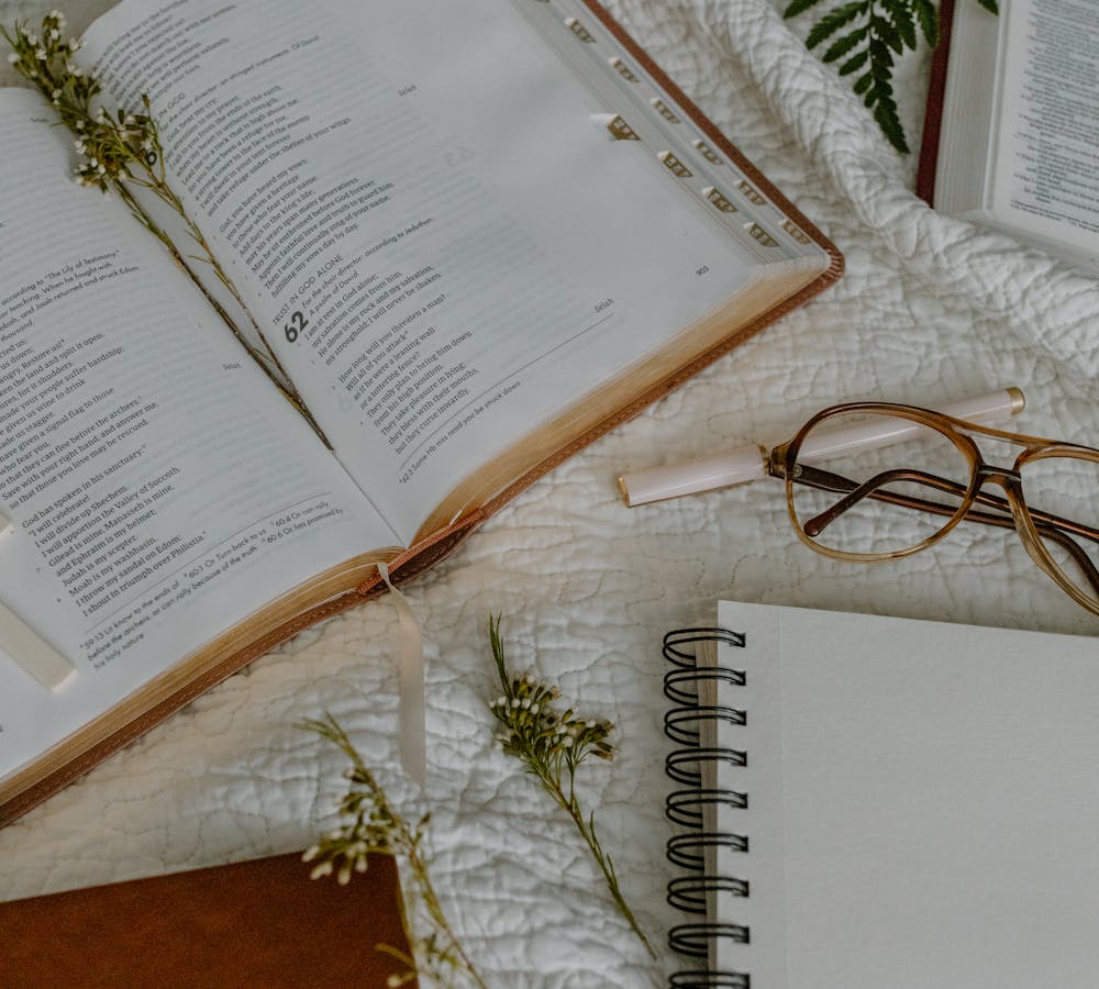 pexels-photo-8383418