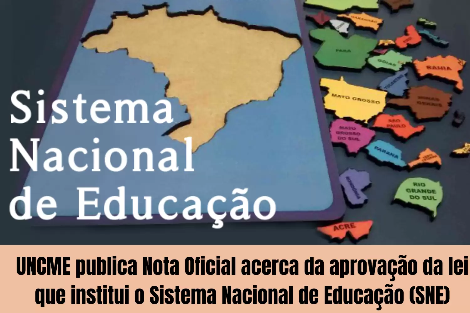 UNCME publica Nota Oficial acerca da aprovação da lei que institui o Sistema Nacional de Educação (SNE)